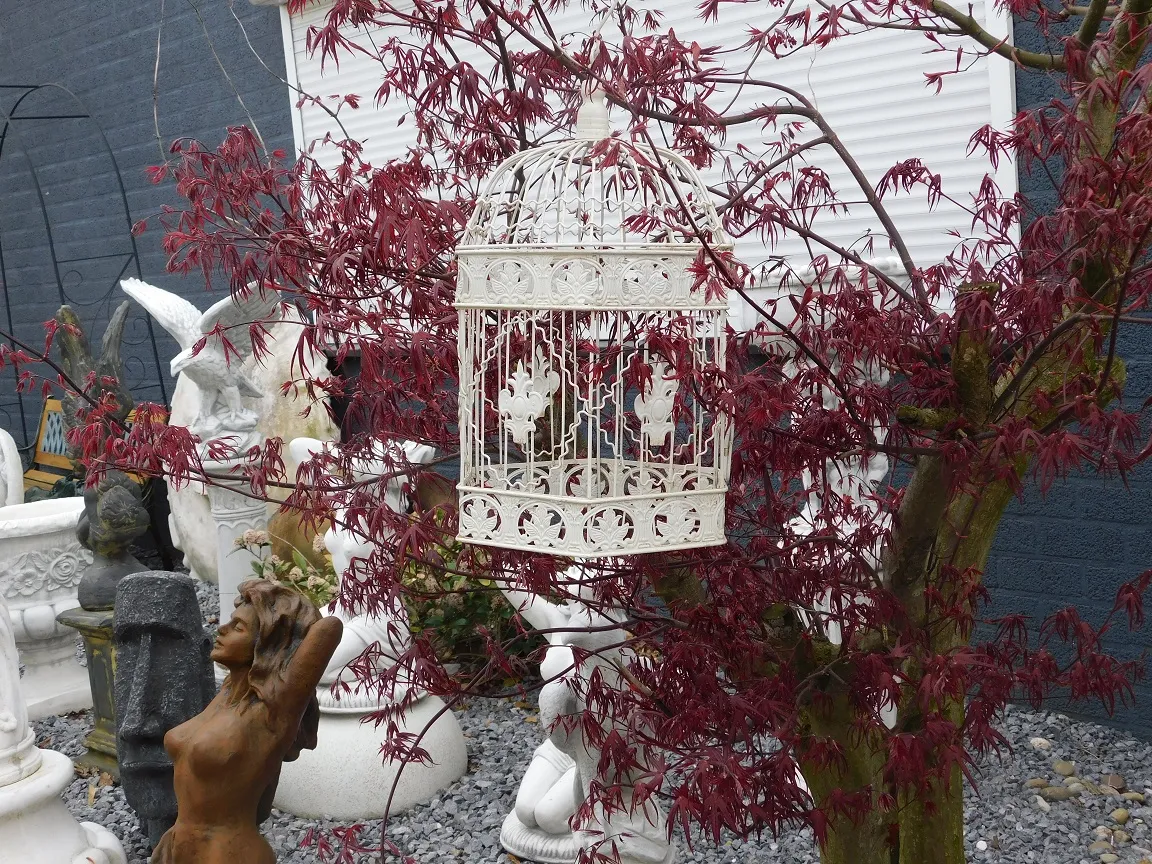 Dekorativer Vogelkäfig, Vogel, für den romantische Metall, Gartendeko