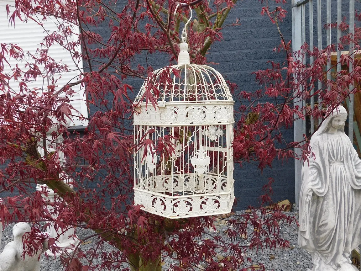 Dekorativer Vogelkäfig, Vogel, den Metall, romantische für Gartendeko