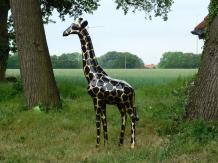 Bild Giraffe, lebensgroß, große Tierstatue, Kunststoff