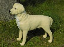 Prachtige 'Golden Retriever' - van Polystone