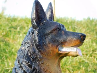 Schäferhund - Polystone Statue - sitzend - 75 cm - in Farbe