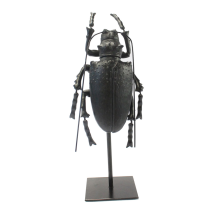 Käfer Polystone schwarz auf Metallständer, speziell und schön!