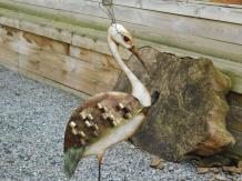 Handgemaakte 'Kraanvogel' - van metaal