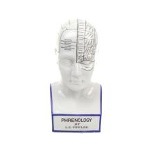 Phrenology hoofd in blauwe kleuring