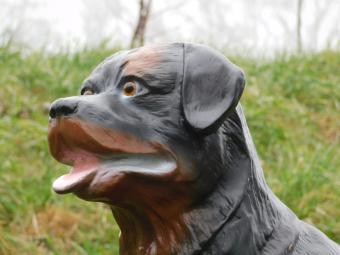 Rottweiler - hond - polystone - 80 cm - bruin/zwart