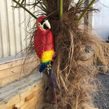 Roter Papagei, Gusseisen, Garten Statue, Tier Skulptur