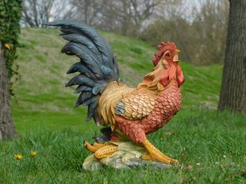 Haan, beeld van polystone, tuinbeeld haan in kleur