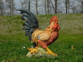 Haan, beeld van polystone, tuinbeeld haan in kleur