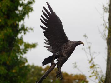 Bronzen beeld adelaar, 51 cm hoog, dierensculptuur op marmeren voet