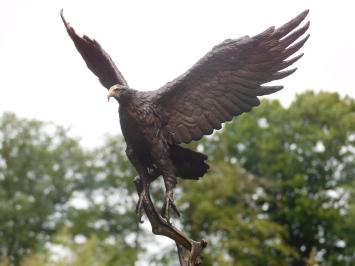 Bronzene Adlerstatue, 51 cm hoch, Tierskulptur auf Marmorsockel