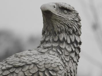 Tuinbeeld adelaar, steen, roofvogel, tuinsculptuur