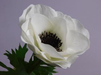 Anemonenstängel - Weiß - 53 cm