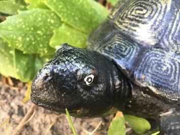 Schildpad bronslook, massief gietijzer, mooi!