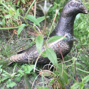 Taube, voll Bronze-Metall, schöne Statue