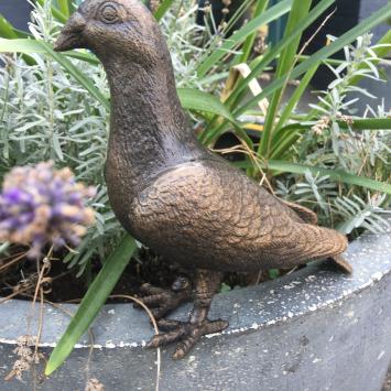 Taube, voll Bronze-Metall, schöne Statue