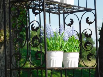 Etagere für den Garten, Blumentreppe, schmiedeeisern und klappbar, antik