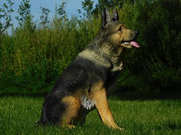 Gartenstatue Deutscher Schäferhund, Statue Hund, detailliert, Polystone