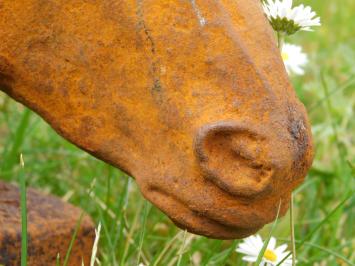 Pferdekopfstatue, Gartenstatue Pferd, Gusseisen, rustikal