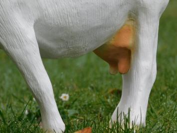 Tuinbeeld geit, dierenbeeld van kunststof, tuindeco