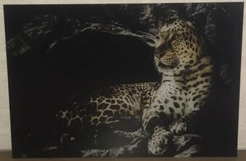 Kunst auf Glas von einem Leoparden / Panther, Wanddekoration