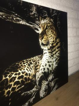 Kunst auf Glas von einem Leoparden / Panther, Wanddekoration