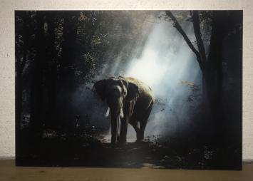 Kunst op glas van een olifant in een bos