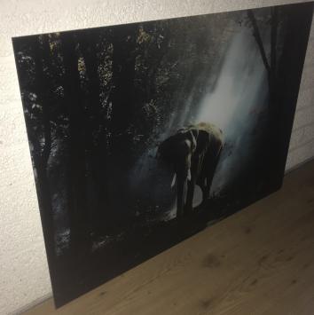 Kunst op glas van een olifant in een bos