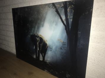 Kunst op glas van een olifant in een bos