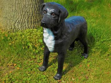 Schöner 'Labrador Retriever' schwarz - aus Polystone