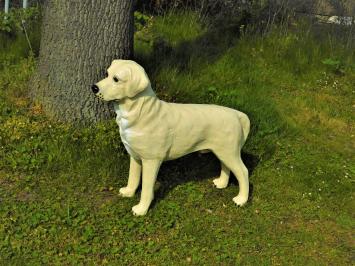 Prachtige 'Golden Retriever' - van Polystone