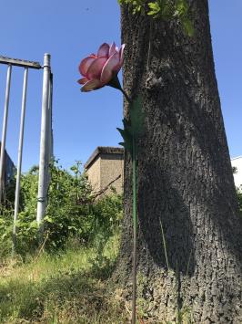 Ein Kunstwerk, große rosa Rose aus Metall, auf Stiel