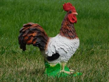 Tuinbeeld haan, dierenbeeld tuin, sculptuur in kleur haan