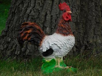 Tuinbeeld haan, dierenbeeld tuin, sculptuur in kleur haan