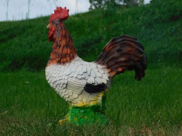 Tuinbeeld haan, dierenbeeld tuin, sculptuur in kleur haan