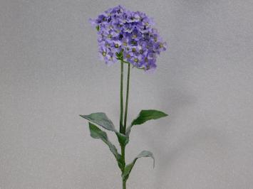 Hortensia Tak - Paars - 74 cm