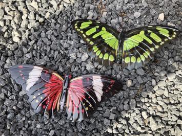 Prachtige set wandvlinders, mooi in kleur en uit metaal