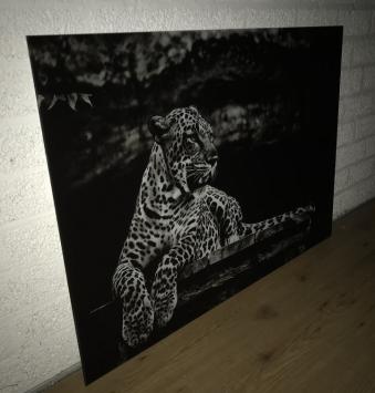 Kunst auf Glas von einem liegenden Leoparden / Panther