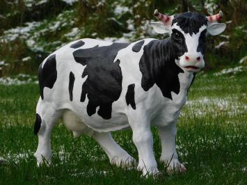 Kuh mit Hörnern - M - Polystone - Detailliert