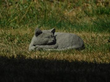 Liegende Katze - Stein - grau