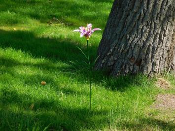 Metalen lelie, leuke decoratie voor in de tuin, roze lelie