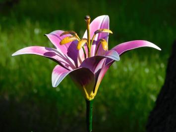 Metalen lelie, leuke decoratie voor in de tuin, roze lelie