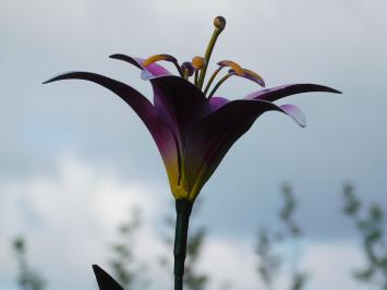 Metalen lelie, leuke decoratie voor in de tuin, roze lelie