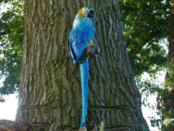 Papageienstatue, Wanddekoration, große Gartenstatue, bunt