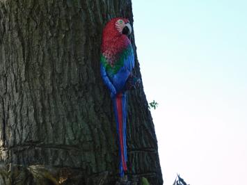 Roter Papagei XL - Gusseisen - Bunte Wanddekoration