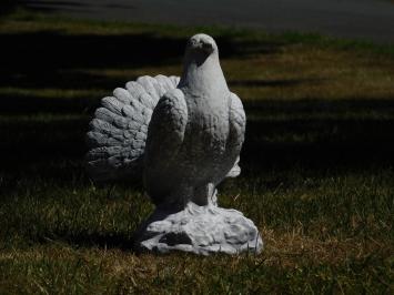 Statue einer Pfautaube - massiver Stein