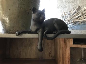 Sculptuur liggende kat uit Polystein, mooi!