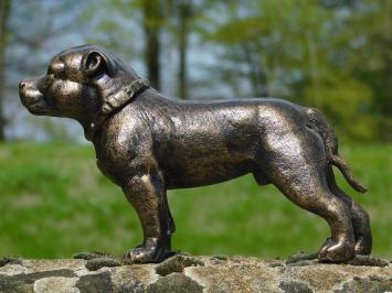 Beeld pitbull, tuinbeeld gietijzer, sculptuur hond, huis en tuin deco