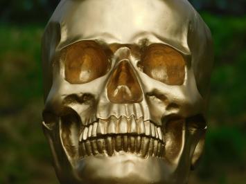 Skull - Schedel - Polystone - Goud