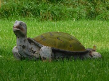 Beeld Schildpad XL - Polystone - Vintage Look