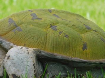 Beeld Schildpad XL - Polystone - Vintage Look